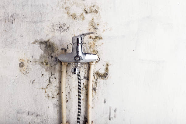 Best Home Mold Removal  in Dubach, LA