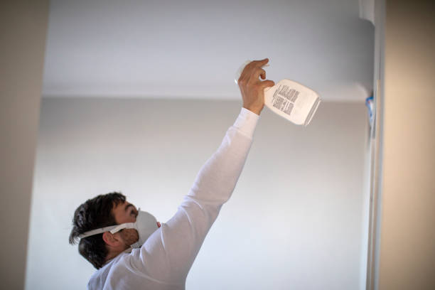 Best Affordable Mold Removal  in Dubach, LA