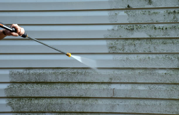 Best Commercial Mold Removal  in Dubach, LA